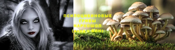 дживик Алзамай