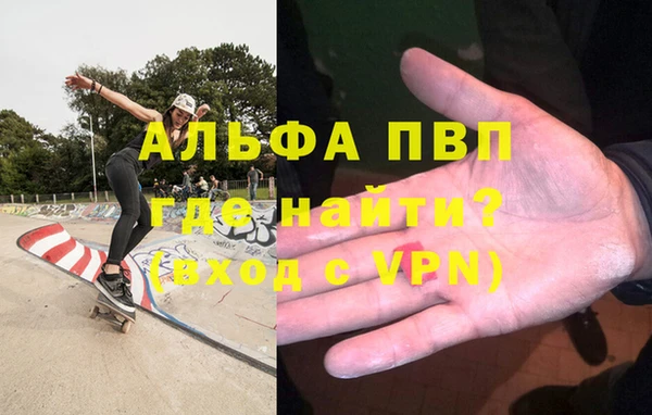 индика Алексин