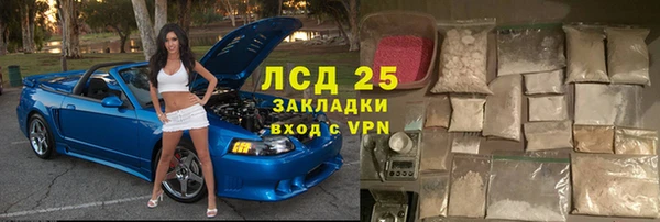 индика Алексин