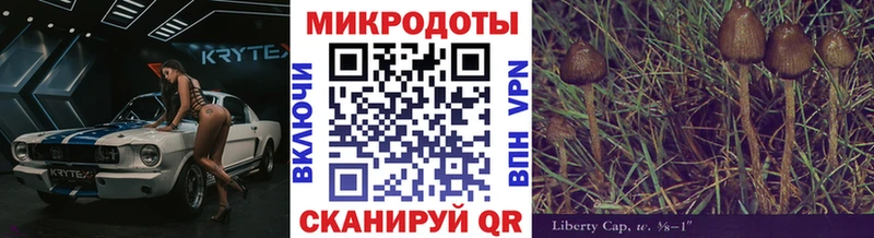 Псилоцибиновые грибы Psilocybe  Кольчугино 
